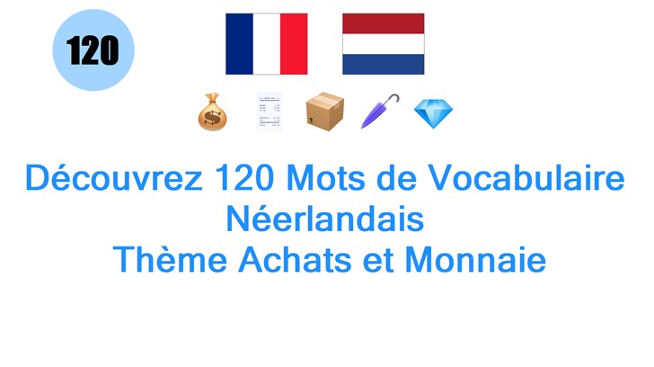 Découvrez 120 Mots de Vocabulaire Néerlandais: Thème Achats et Monnaie